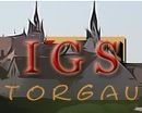 IGS Torgau 