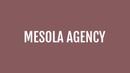Mesola Agency